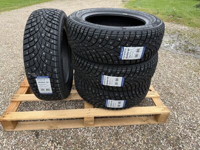 205/60R16 Triangle TI501 96T XL naastrehvid