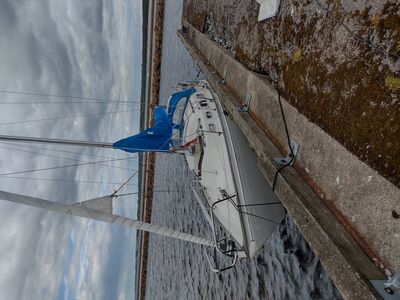 Shipman 28
