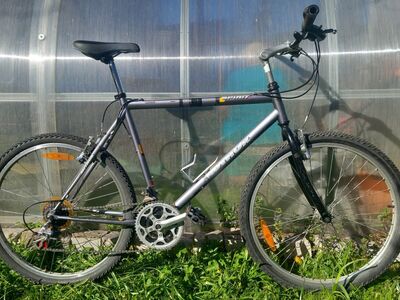 Jalgratas 26" Author Spirit, size L
