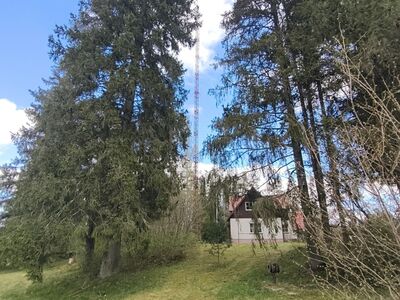 Vana mast
