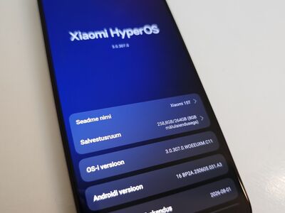 Xiaomi 15T 12/256