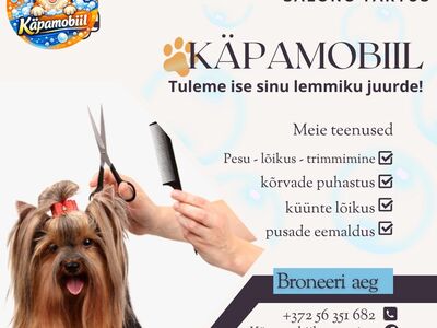 Karvahooldus / grooming