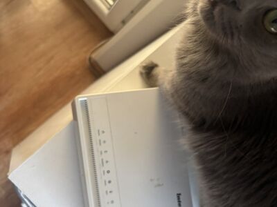 Telia Inteno ruuter