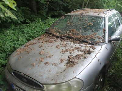 Müüa Ford mondeo