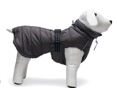 Koera talvevest soe