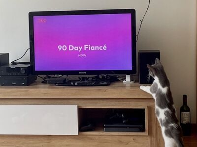 Philips 32” teler