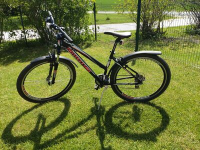 Jalgratas Bottecchia 103
