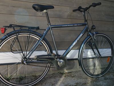 Raleigh meesteratas
