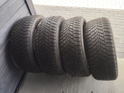 Talverehvid R19