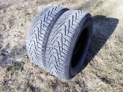 Lamellid 185/65 R15 2tk