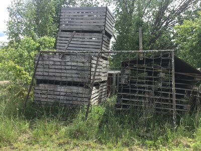 Võrkäkked