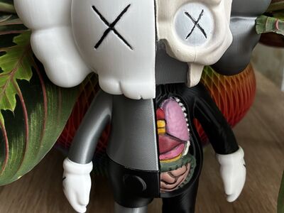 3D kujuke KAWS Dissected Companion (20 cm)