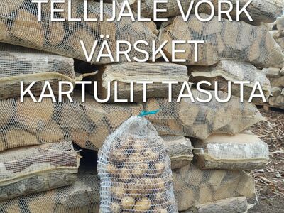KUIVAD KÜTTEPUUD VÕRGUS