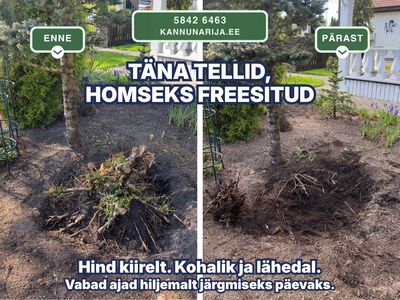 Фрезерование и удаление пней – по всему Харьюмаа