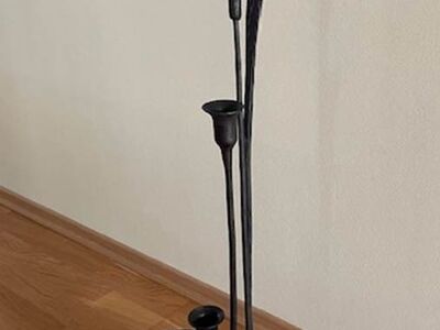 Rauast küünlajalg