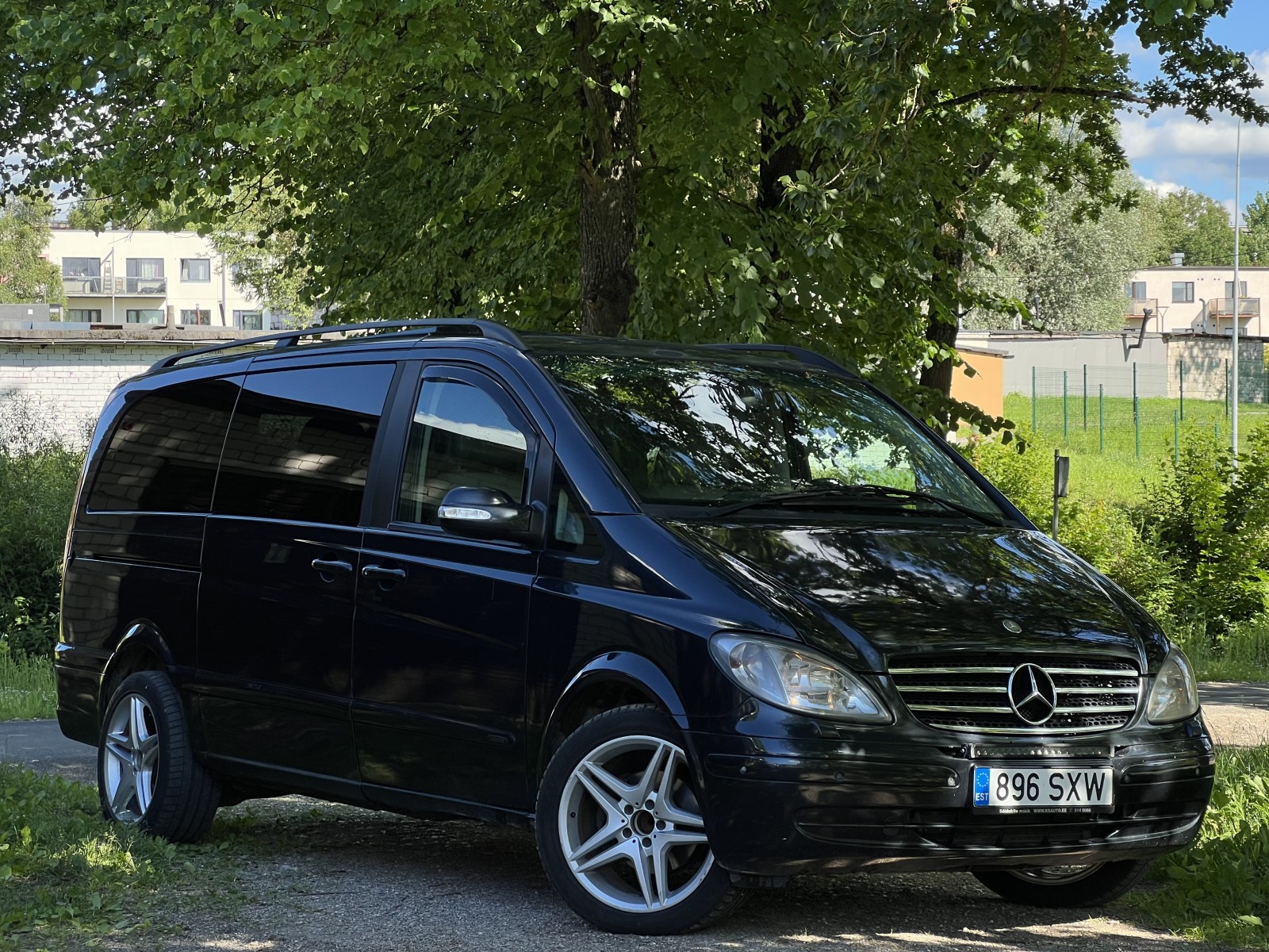 Mercedes Viano