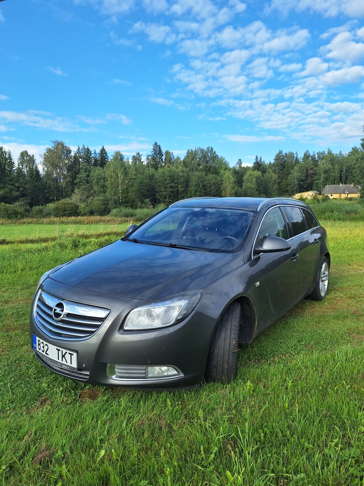 OPEL INSIGNIA SPORTS TOURER 2.0 118 kW -11
