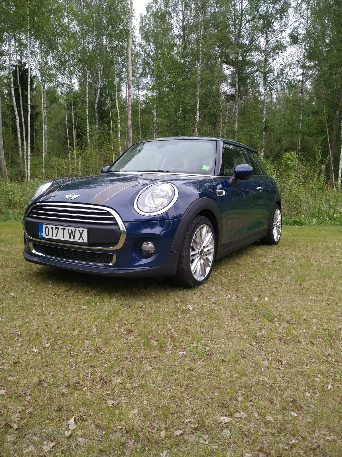 Mini One
